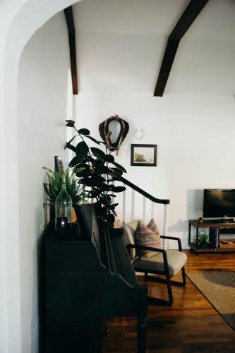 a living room with a black couch and a plant at The Paddock Luxury Vacation Home in Hot Springs