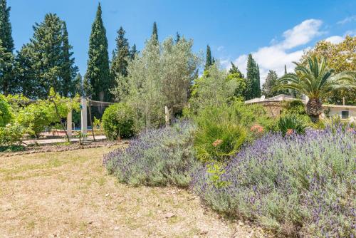 a garden with purple flowers and trees at Ca Na Sioneta in Campanet