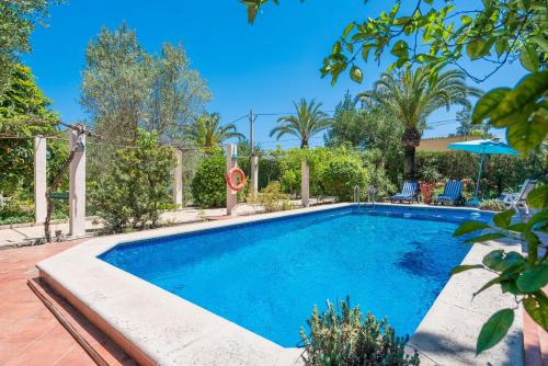 a swimming pool in a yard with trees at Ca Na Sioneta in Campanet