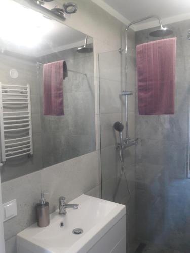 a bathroom with a shower and a sink and a shower at Apartament Reda z prywatną sauną in Reda