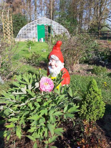 a statue of a gnome sitting in a garden at COSY B&B 2B in Overijse