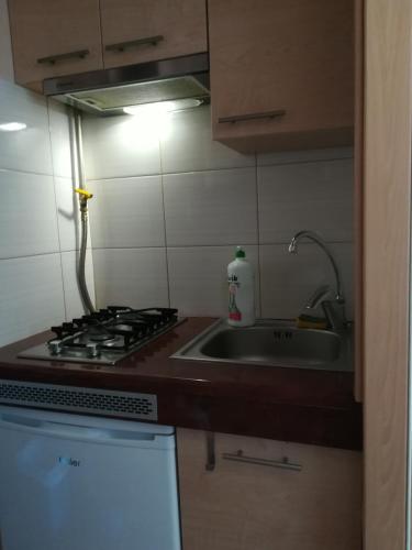 uma cozinha com um lavatório e um fogão forno superior em garsoniera em Gdansk