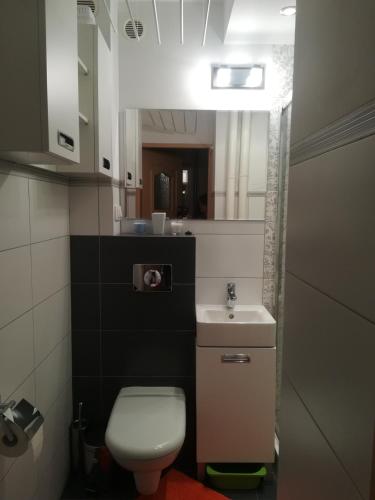 uma pequena casa de banho com WC e lavatório em garsoniera em Gdansk