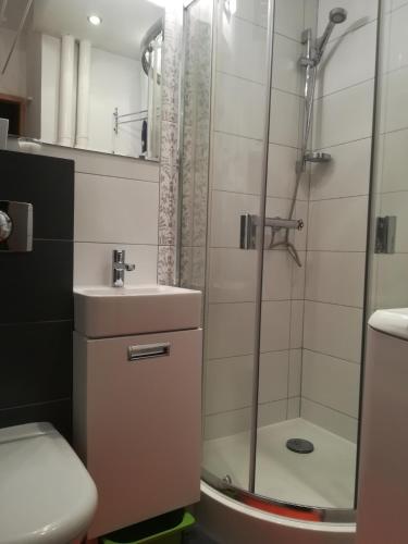 uma casa de banho com um chuveiro, um lavatório e um WC. em garsoniera em Gdansk