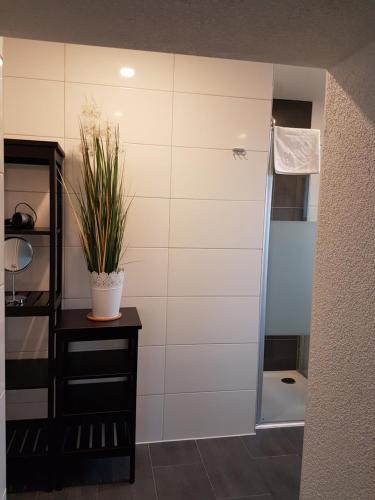 ein Badezimmer mit einer Dusche und einer Pflanze auf dem Tisch in der Unterkunft Pension Haus am Waldesrand in Oberhof