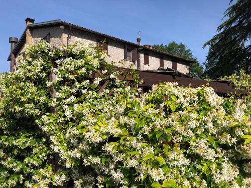 Jardín al aire libre en Agriturismo Beata Vanna