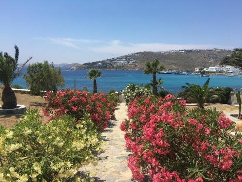 Φυσικό τοπίο κοντά σε αυτό το διαμέρισμα