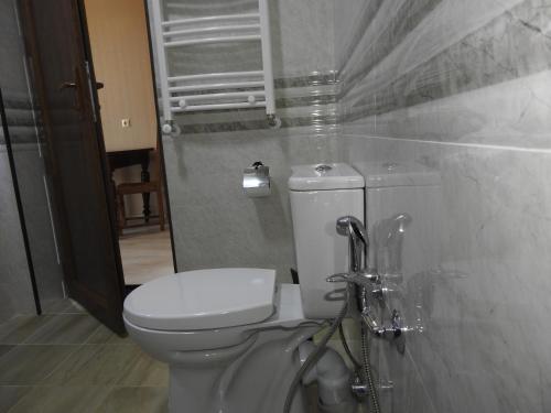 a bathroom with a toilet and a shower at White Hotel Guesthouse in Zugdidi