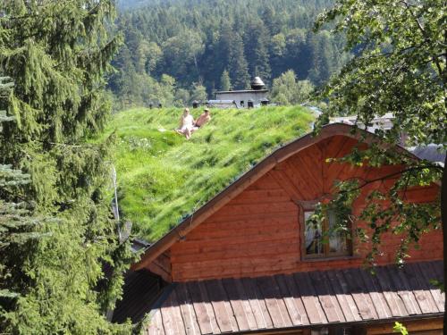 a building with a grass roof with two people sitting on it at Troll in Cisna
