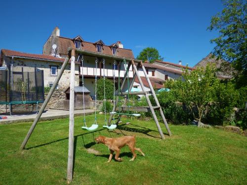 a dog walking next to a swing in a yard at L'Ancien Presbytère Chambres D'hote ou Gite in Le Dorat