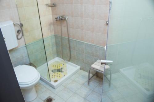 a bathroom with a shower and a toilet and a sink at La Luna in Kala Nera