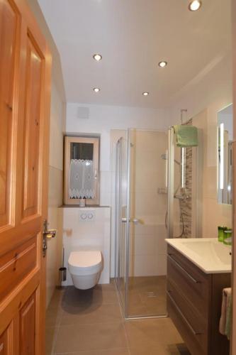 a bathroom with a toilet and a shower and a sink at Haus Marent in Bartholomäberg