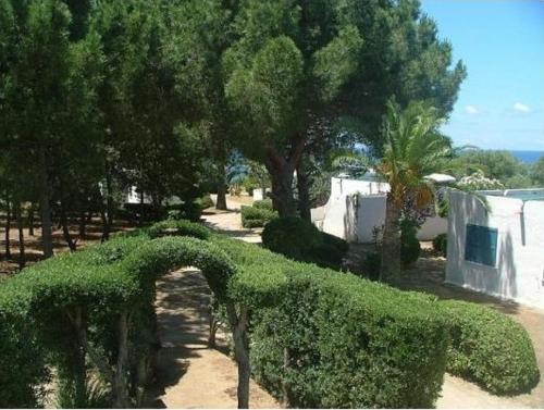 a garden with bushes and trees and a fence at Residenza Gherly in Capo Vaticano