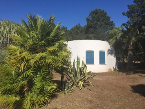 a white building with a palm tree in front of it at Residenza Gherly in Capo Vaticano