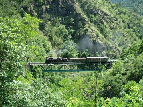 a train on a bridge in the forest at Konačište Osmica in Mokra Gora