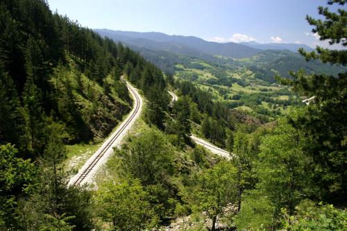 a road in the middle of a forest with mountains at Konačište Osmica in Mokra Gora