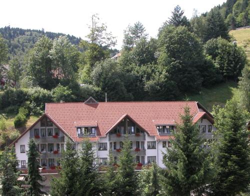 Gallery image of Aparthotel Kupferkanne in Todtmoos