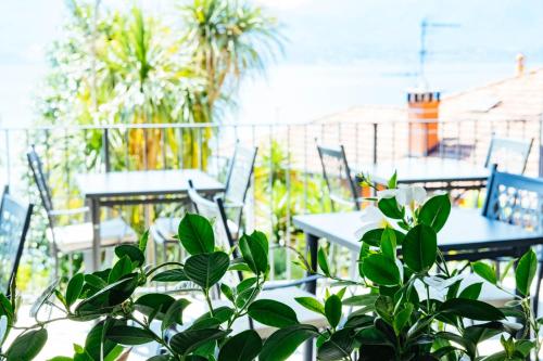 a patio with tables and chairs and a plant at Hotel Sole in Cannero Riviera