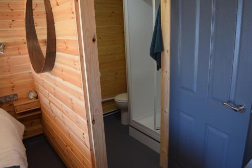 a bathroom with a toilet and a blue door at The Beach Bothies in Valtos