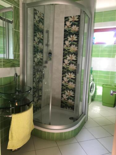 a bathroom with a shower and a sink at Nyaralo Balatonszárszó in Balatonszárszó