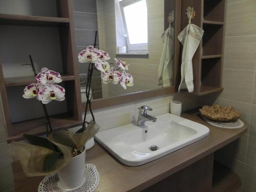 Kylpyhuone majoituspaikassa Apartments Vesna