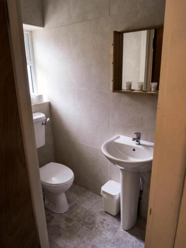 a bathroom with a toilet and a sink at Pure Magic Lodge in Slievemore