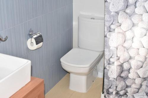 y baño con aseo y pared de roca. en Apartamentos Blaucel, en Deltebre