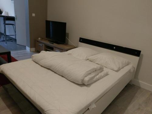 費康的住宿－Gites de mer Les Boucanes，一张带白色床单的床和一台平面电视
