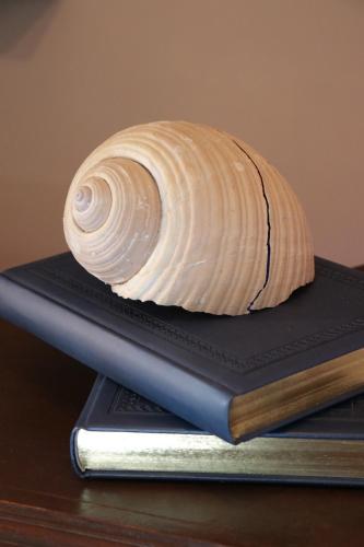 a shell sitting on top of a book at Grace Hotel & Studios in Symi