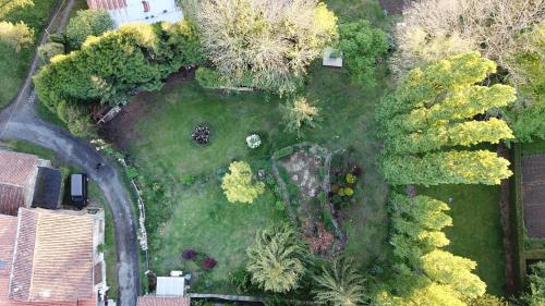 an overhead view of a yard with trees and bushes at La Maison Des Fleurs in Montembœuf