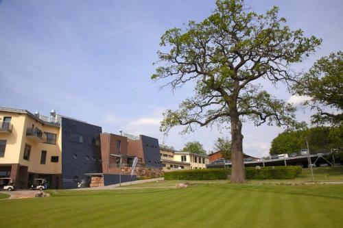 a tree in the middle of a green field at Hotel & Golfrestaurant Gut Wissmannshof in Staufenberg