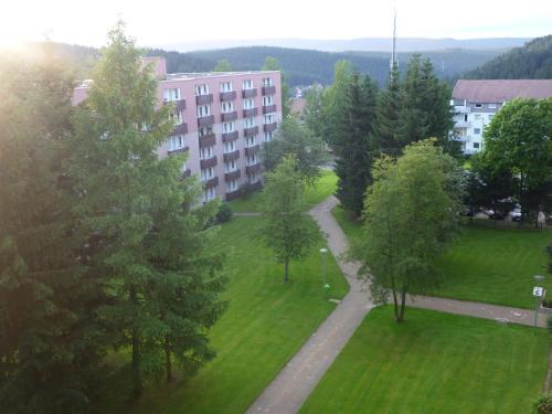 vistas a un parque con árboles y a un edificio en Ferienwohnung Glockenberg, en Altenau