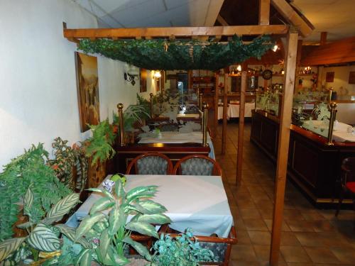 a dining room with a table and some plants at Hotel Ottersleben in Magdeburg
