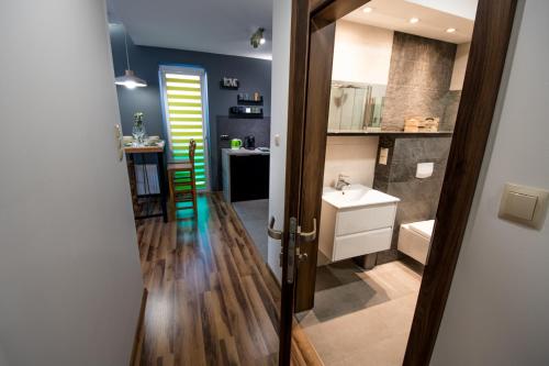 a bathroom with a sink and a mirror at Apartament Kustronia z Garażem in Bielsko-Biala