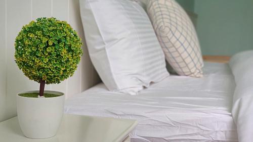 a potted plant sitting on a table next to a bed at Greenfield Villa in Fengping