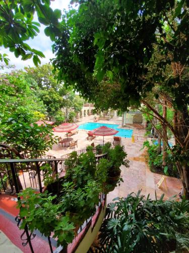 an overhead view of a pool with tables and umbrellas at La Posada Hotel in Laredo