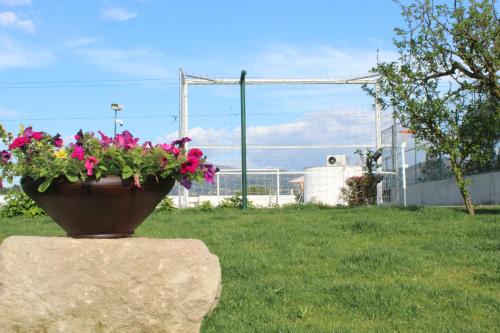 a pot of flowers sitting on a rock in a yard at Casa d'Amares in Amares