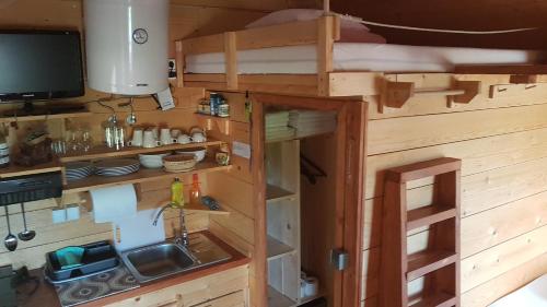 una cucina in una casetta minuscola con lavandino di Gnezdo Vid-ik a Čatež ob Savi