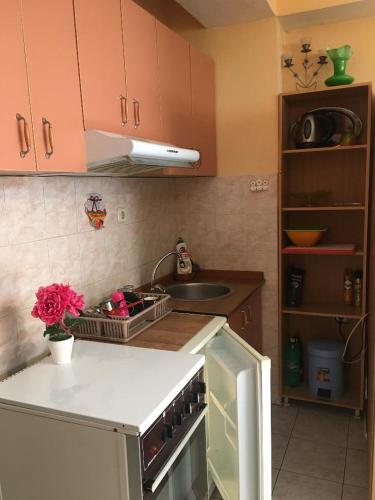 Køkken eller tekøkken på ANI Apartment