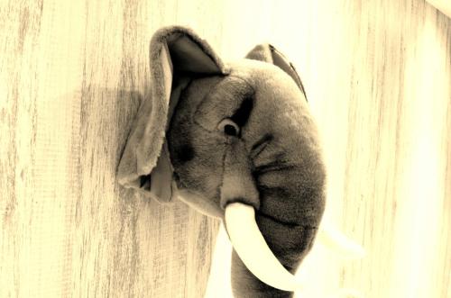 a stuffed elephant hanging on a wall at ARK Hotel - Dongmen in Taipei