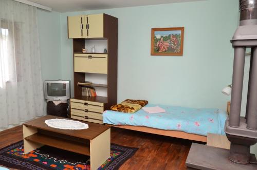 a small bedroom with a bed and a tv at Kuca za odmor Radovanovic in Despotovac