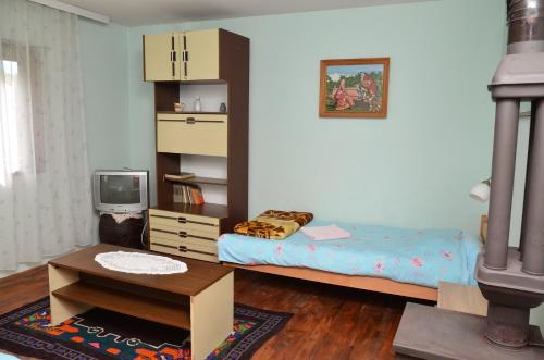 Postel nebo postele na pokoji v ubytování Kuca za odmor Radovanovic
