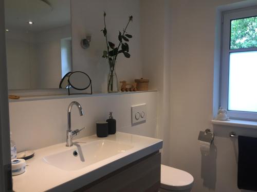 a bathroom with a sink and a toilet and a window at Charmantes Haus mit zwei Ferienwohnungen und großem Garten in Aventoft - Enjoy! in Aventoft