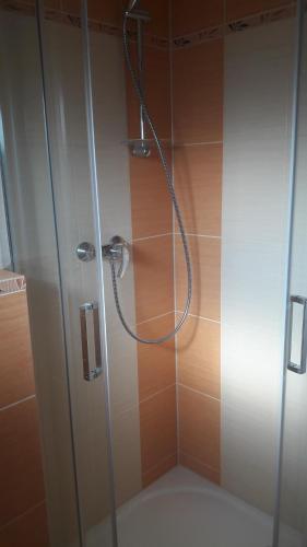 een douche in een badkamer met een glazen deur bij Apartmán Relax Hamry in Nové Hamry