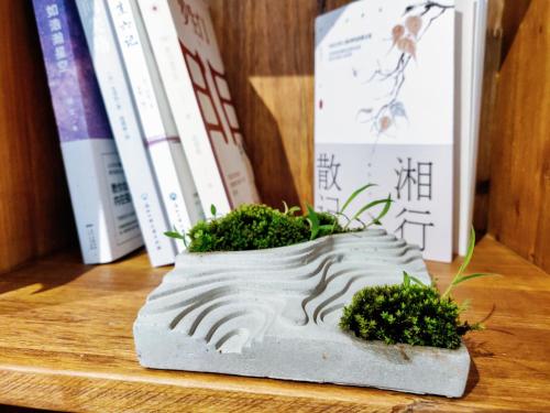 a rock with plants on it on a shelf with books at National Forest Park(Yangjiajie ) MINI Inn in Zhangjiajie