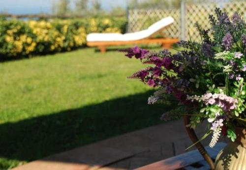 Un jardín fuera de La Violetta