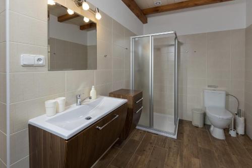 a bathroom with a sink and a shower and a toilet at Baráček in Janov nad Nisou