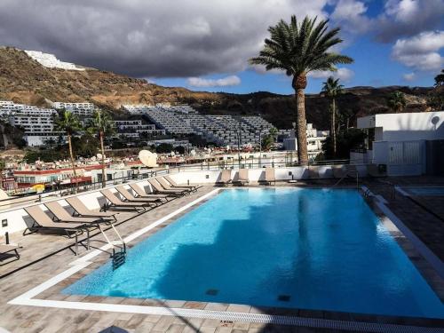 a large swimming pool with chairs and a palm tree at Casa Feliz en el complejo Las Fresas in Puerto Rico de Gran Canaria