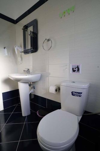 a bathroom with a white toilet and a sink at Villa Mimoza in Borsh
