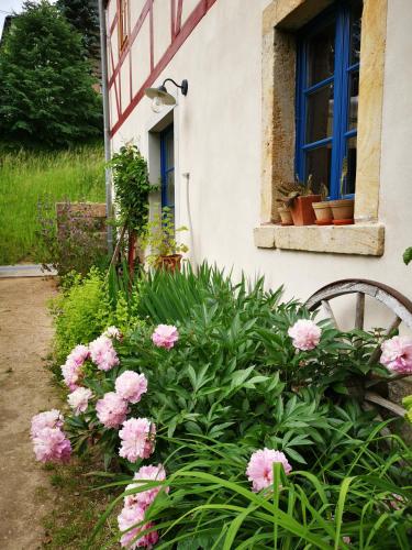 a bunch of pink flowers in front of a building at Urlaub im 200 Jahre alten Fachwerkhaus in Lichtenhain